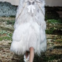 Fashion Trend: Fur what it's worth